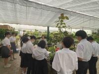 花由　高校生と“廃棄花”解決へ、生徒が商品開発、既製品をアレンジ